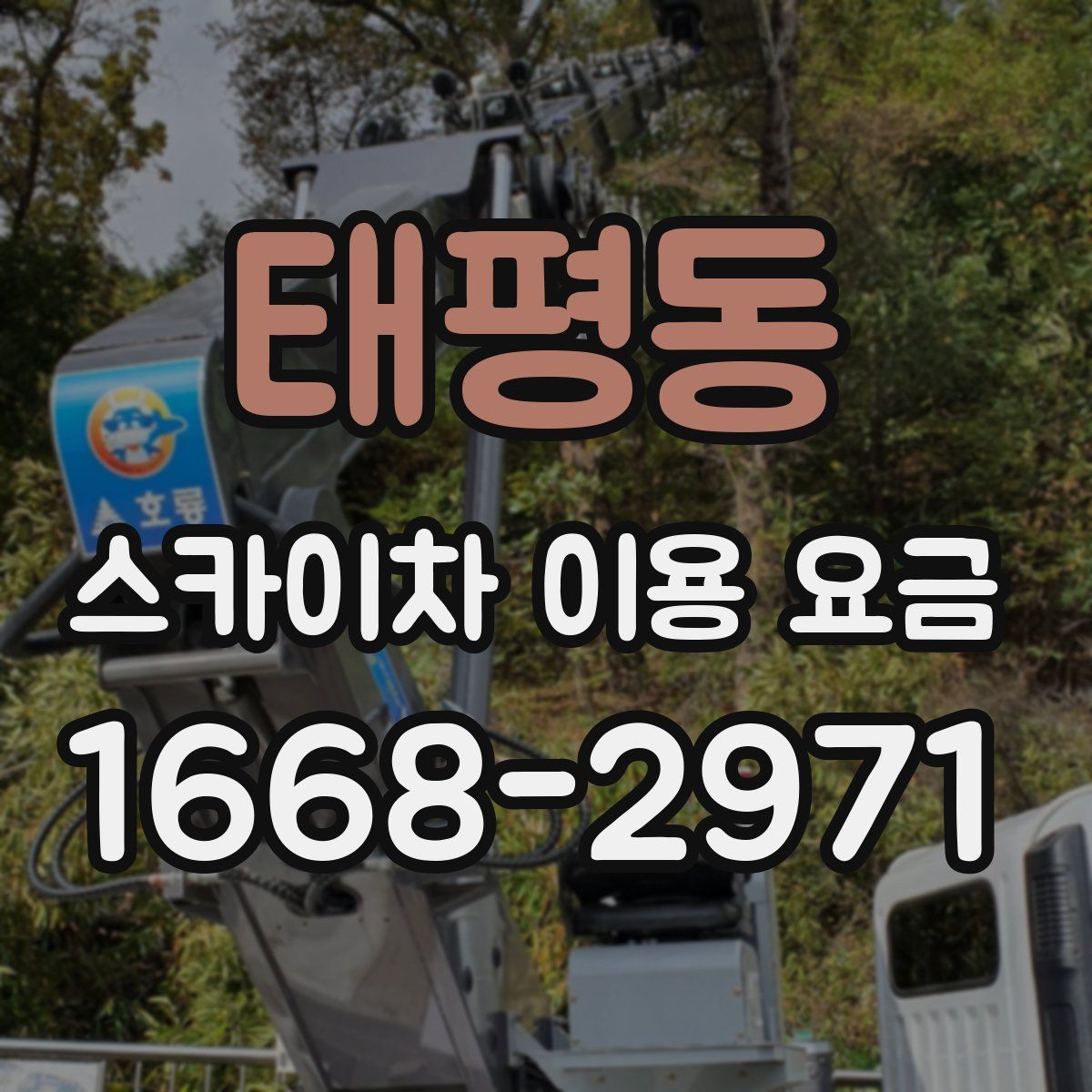 태평동 스카이차 이용 요금