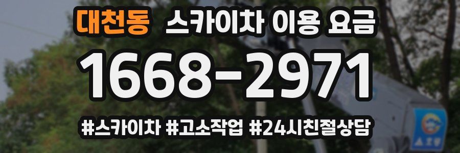 대천동 스카이차 이용 요금