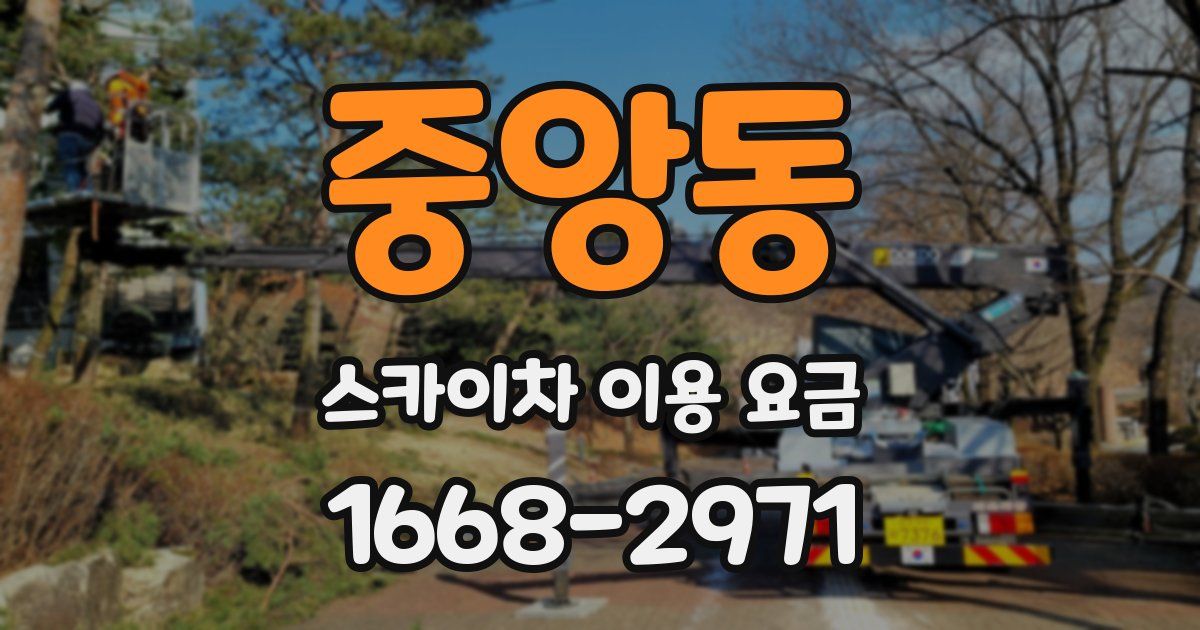 중앙동 스카이차 이용 요금