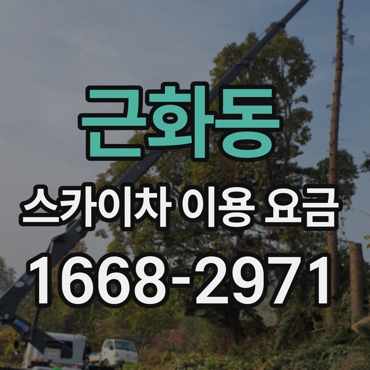 근화동 스카이차 이용 요금 안내받을 때 함께 물어볼 것