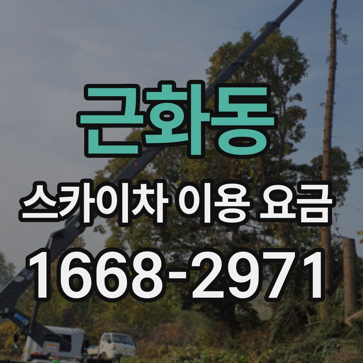 근화동 스카이차 이용 요금