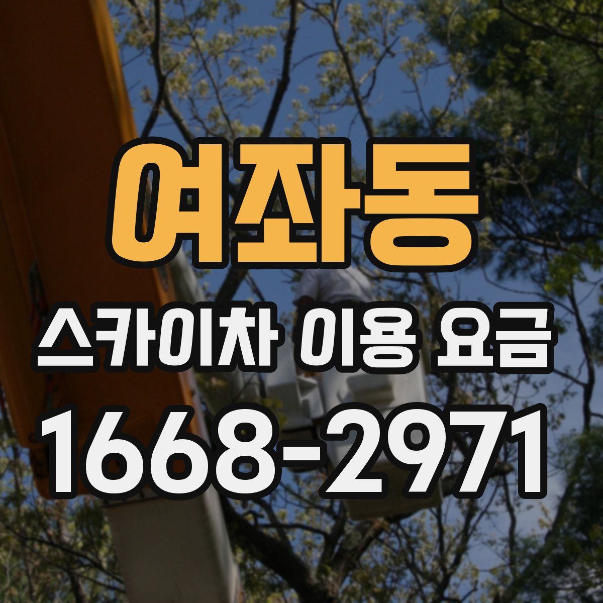 여좌동 스카이차 이용 요금