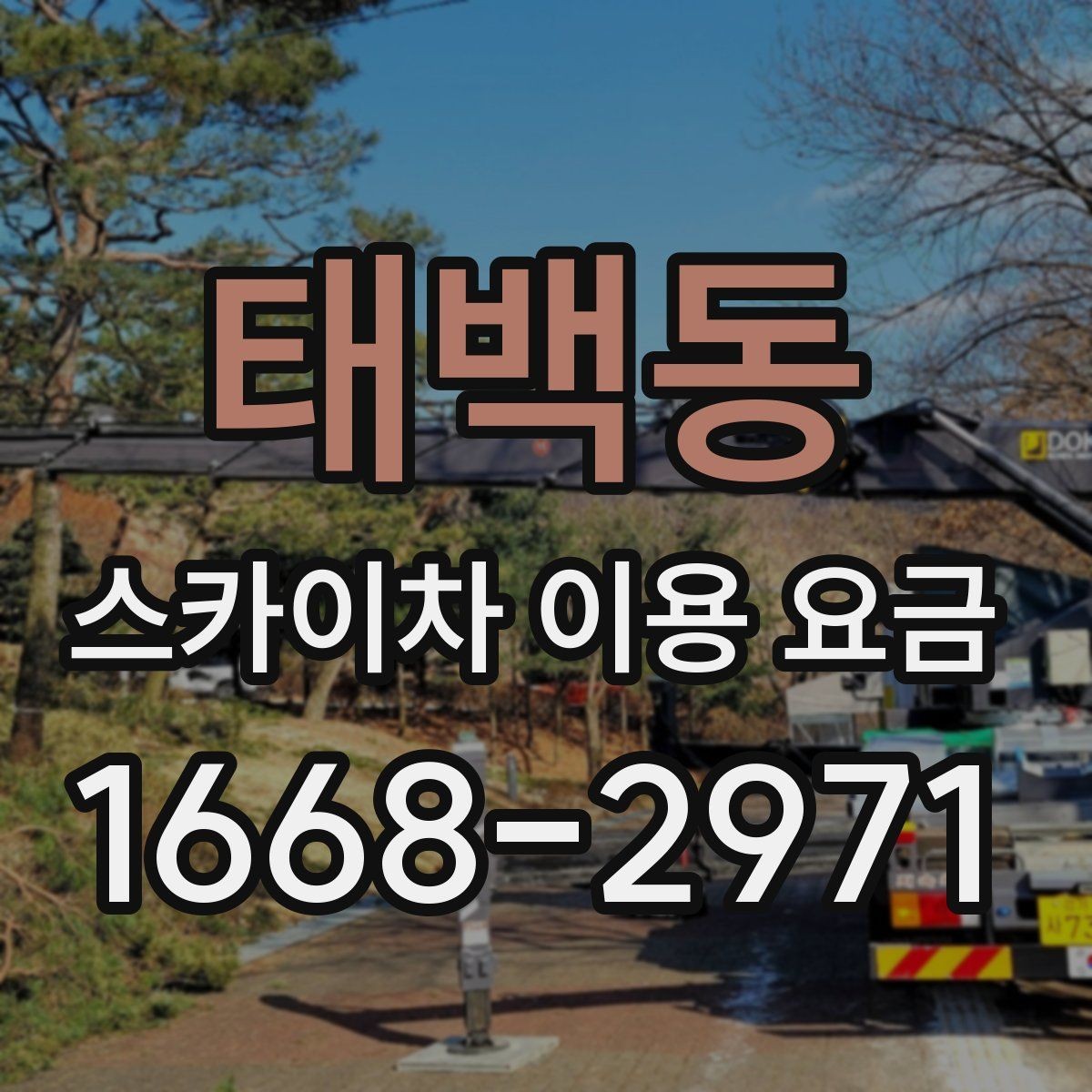 태백동 스카이차 이용 요금 확인 전에 알아야 할 기본 정보