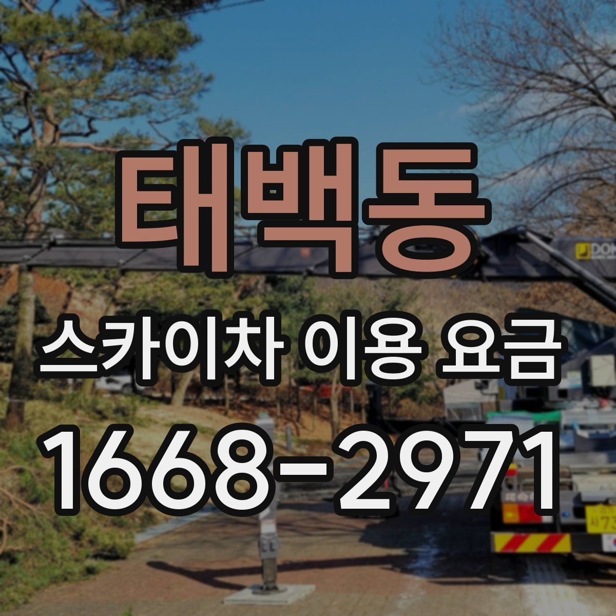 태백동 스카이차 이용 요금