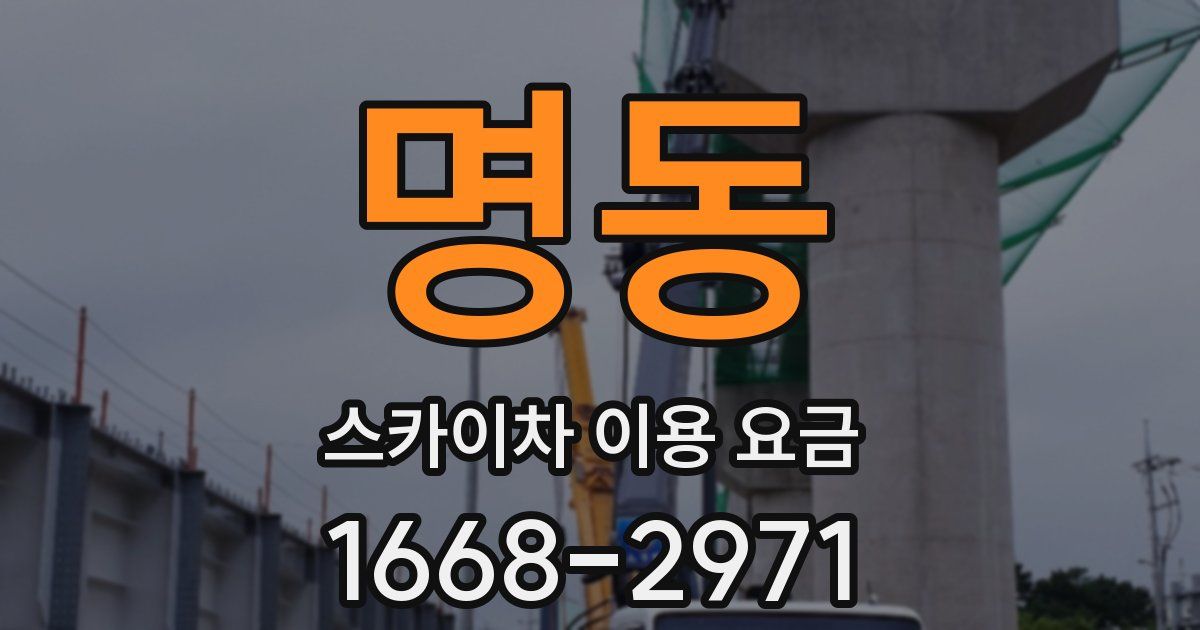 명동 스카이차 이용 요금