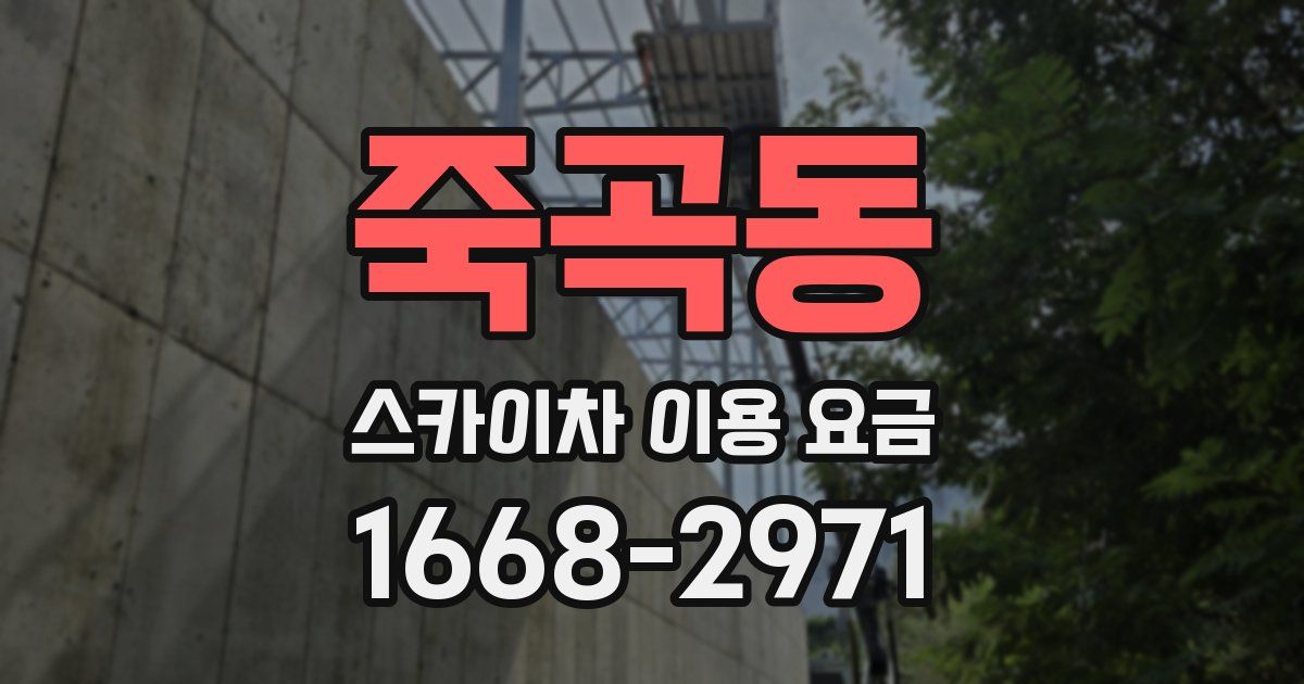죽곡동 스카이차 이용 요금
