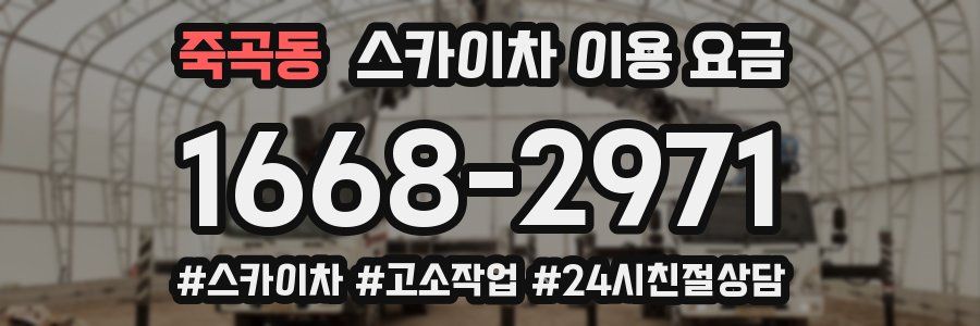 죽곡동 스카이차 이용 요금
