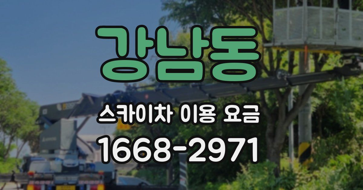 강남동 스카이차 이용 요금