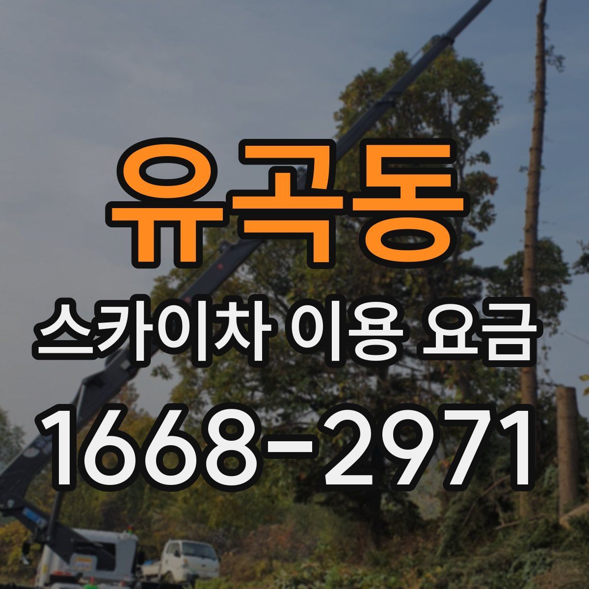 유곡동 스카이차 이용 요금