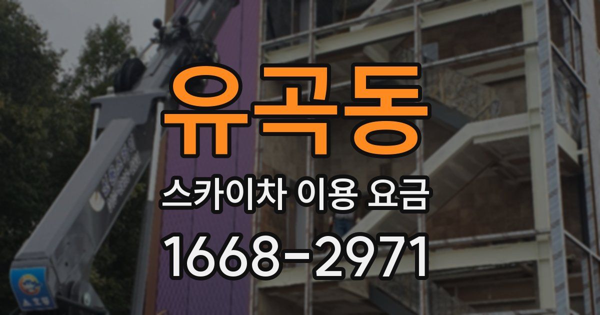 유곡동 스카이차 이용 요금