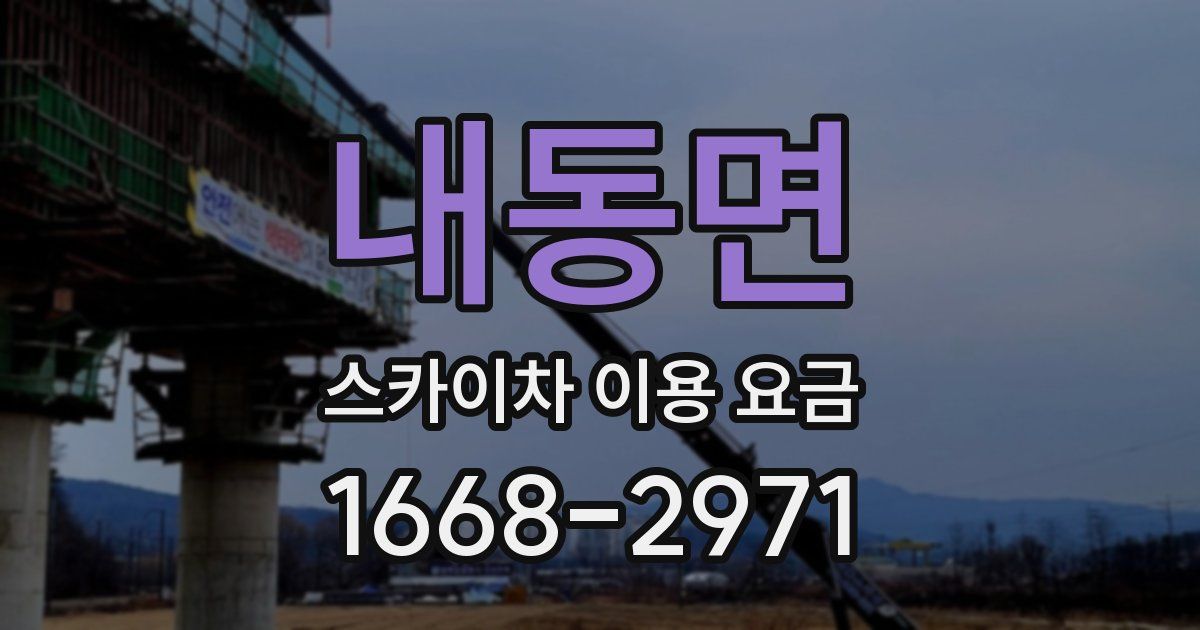 내동면 스카이차 이용 요금