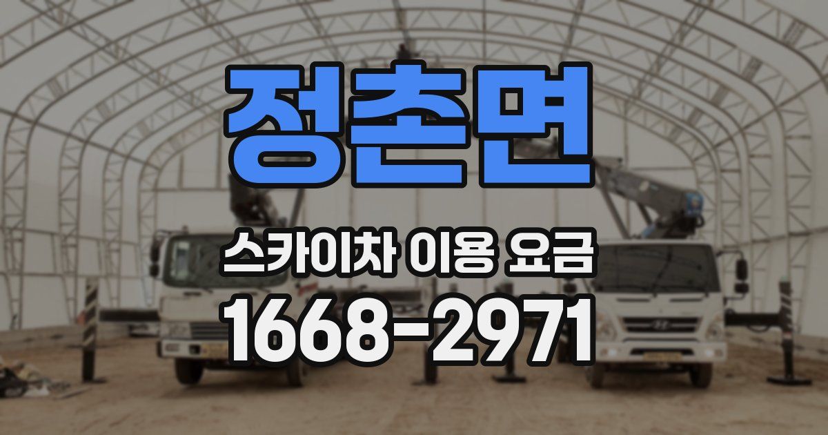 정촌면 스카이차 이용 요금