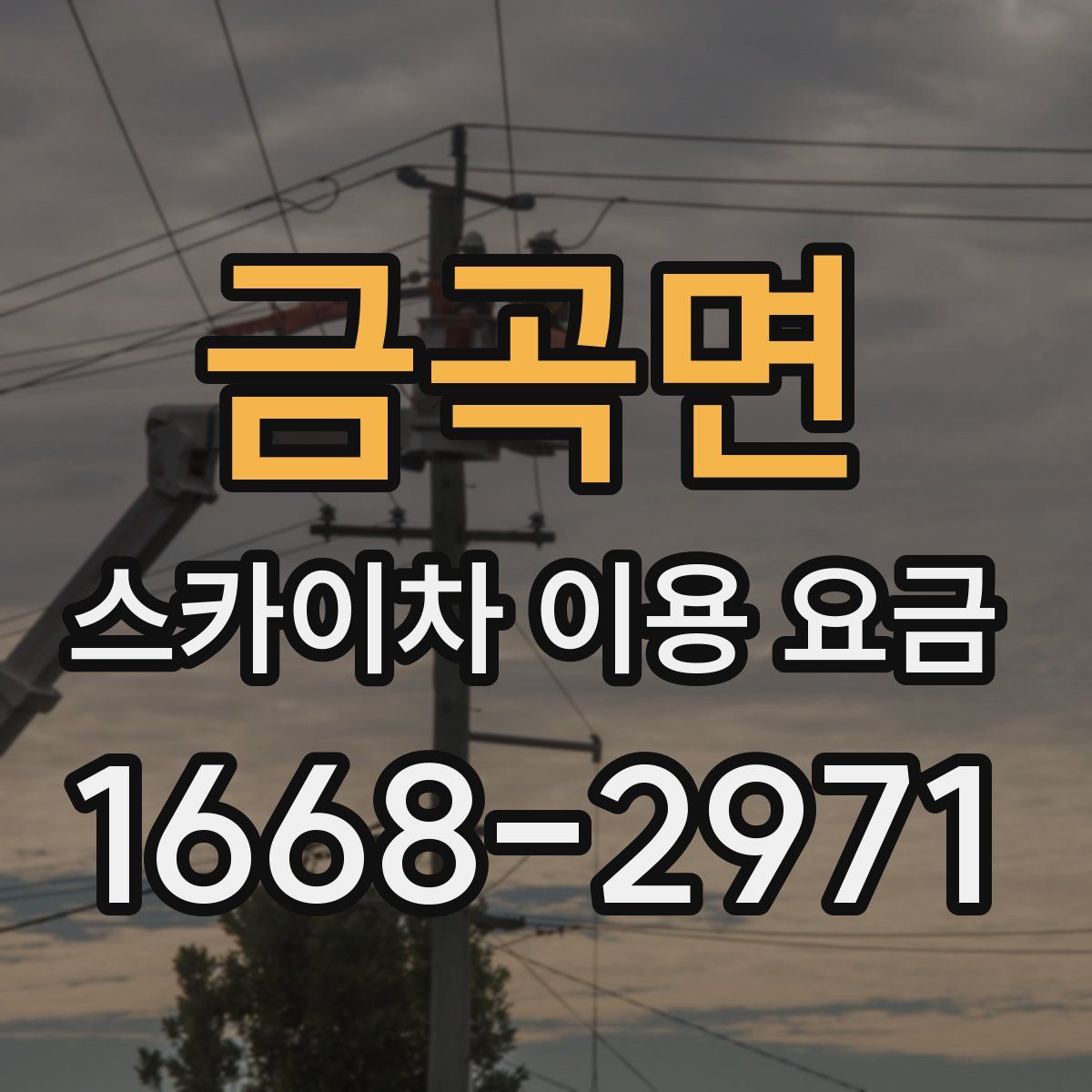 금곡면 스카이차 이용 요금