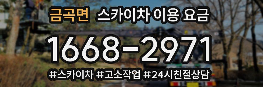 금곡면 스카이차 이용 요금
