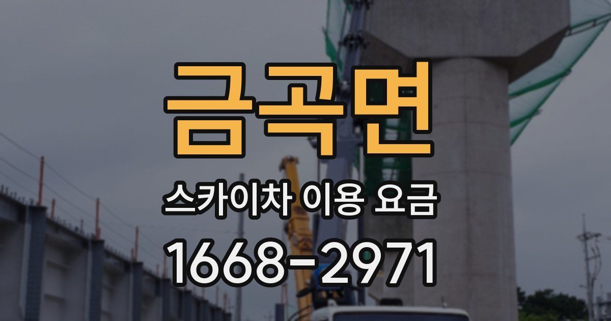 금곡면 스카이차 이용 요금