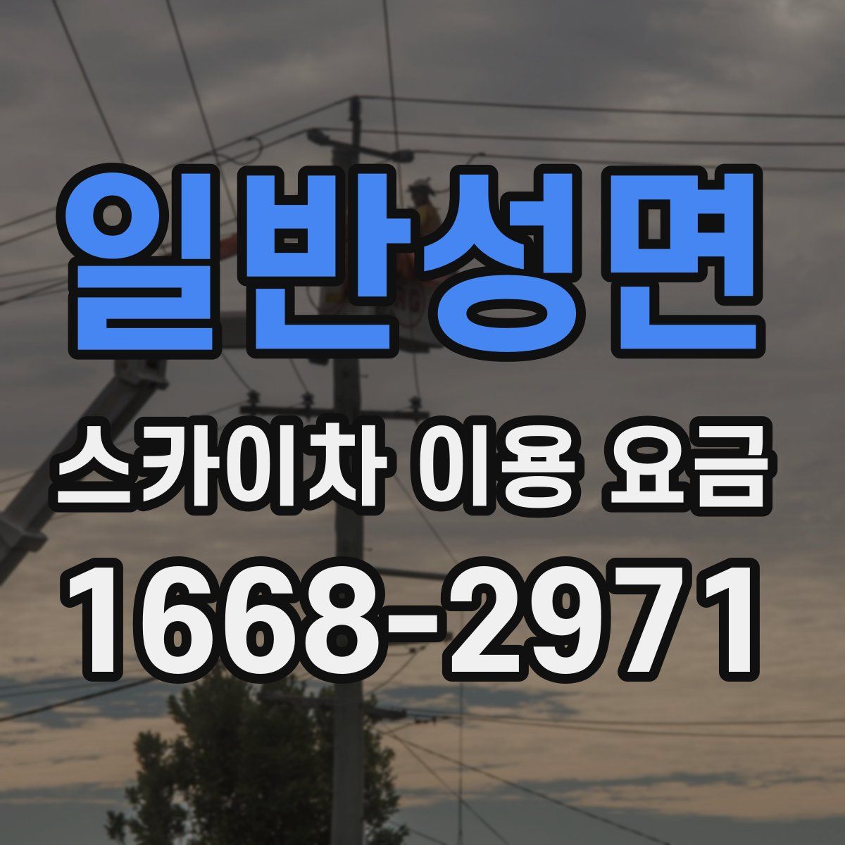 일반성면 스카이차 이용 요금