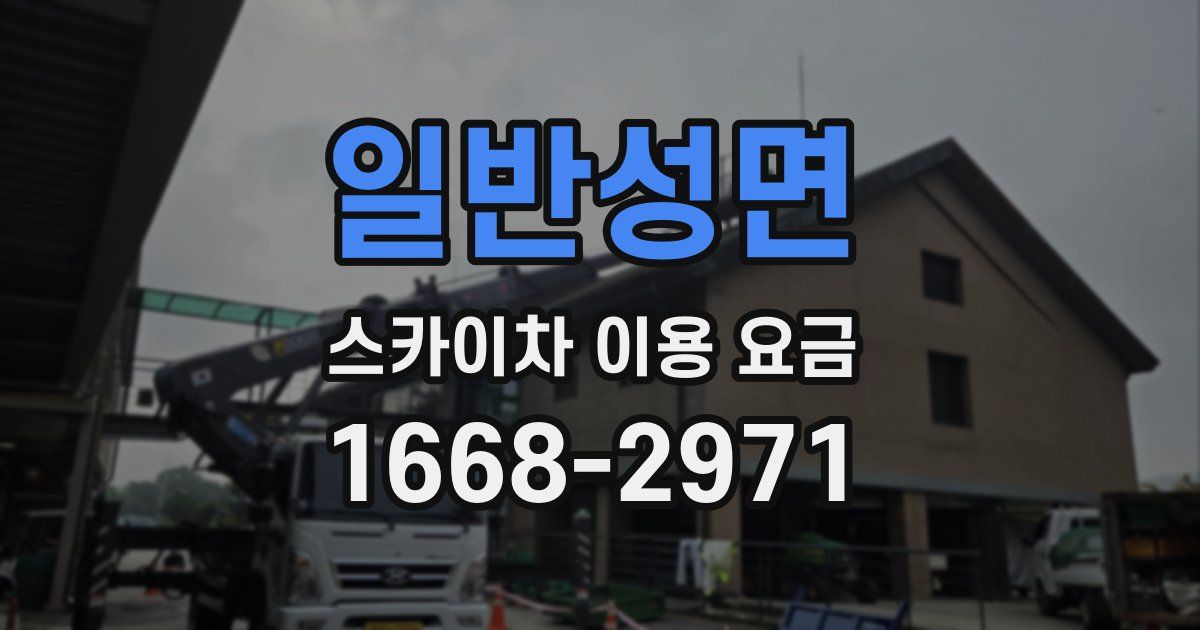일반성면 스카이차 이용 요금