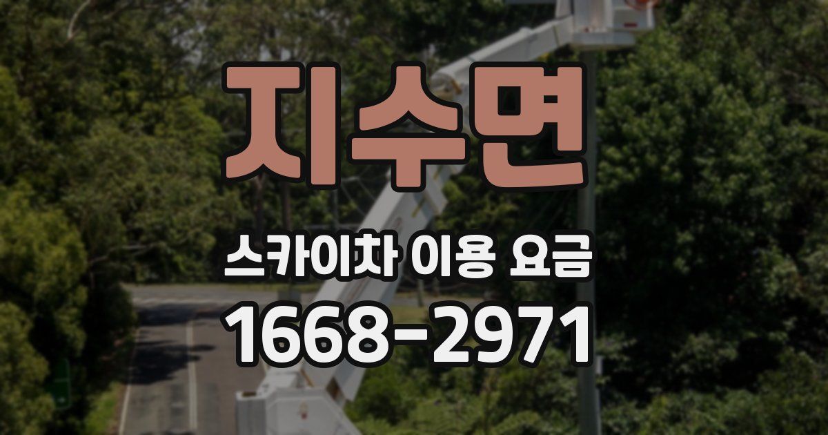 지수면 스카이차 이용 요금