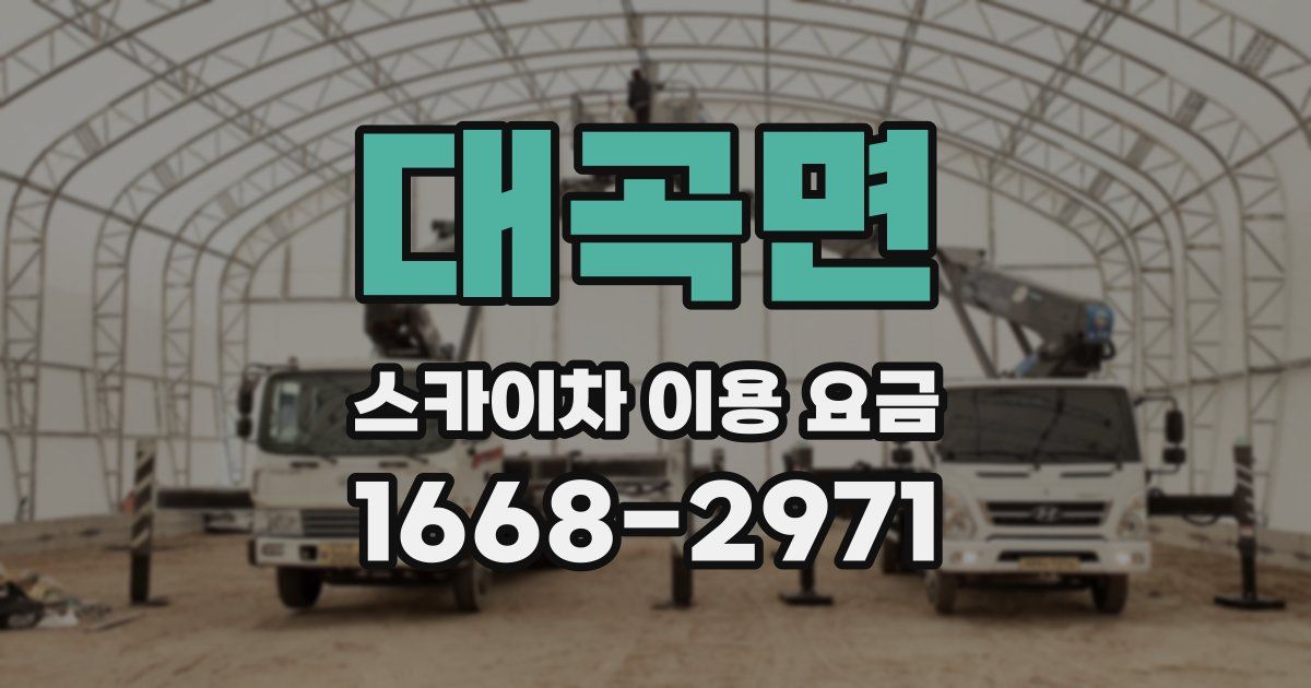 대곡면 스카이차 이용 요금