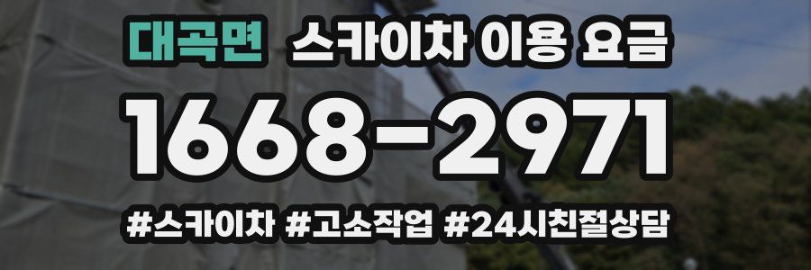 대곡면 스카이차 이용 요금