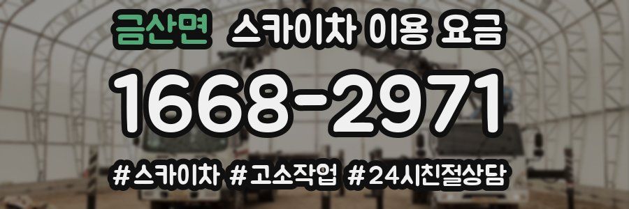 금산면 스카이차 이용 요금