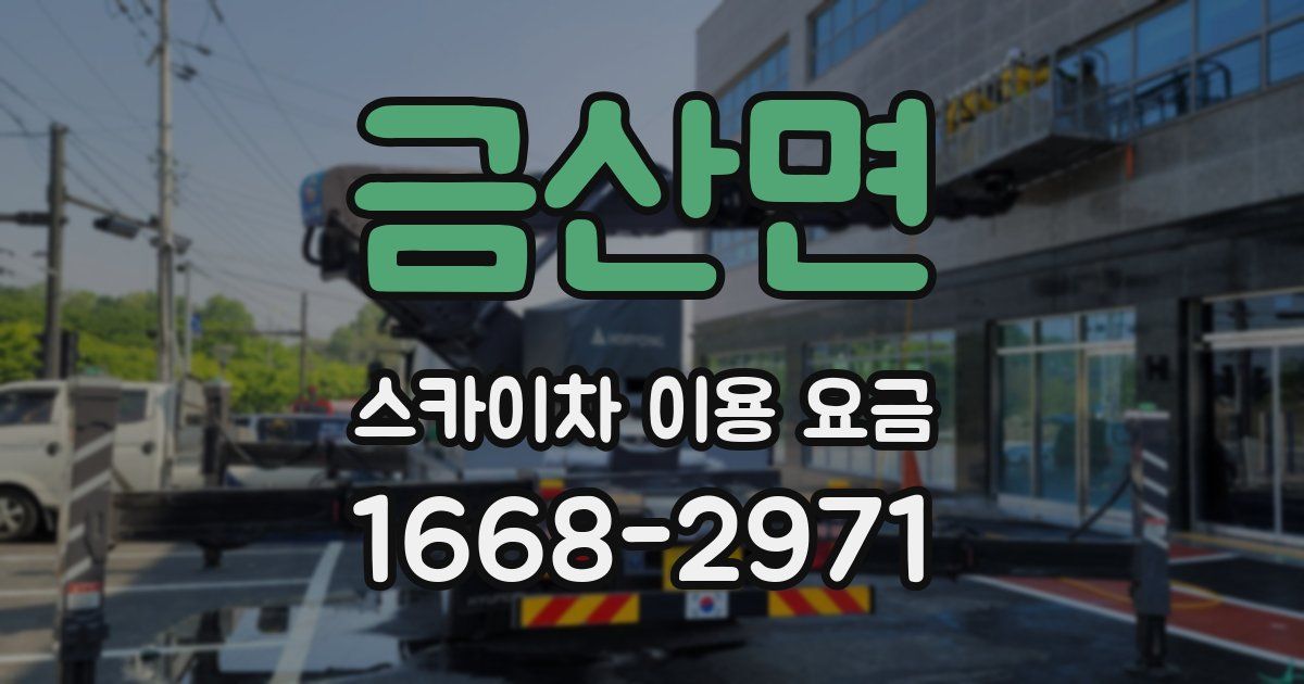 금산면 스카이차 이용 요금