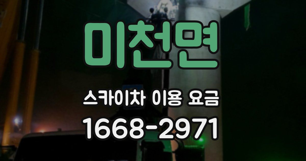 미천면 스카이차 이용 요금