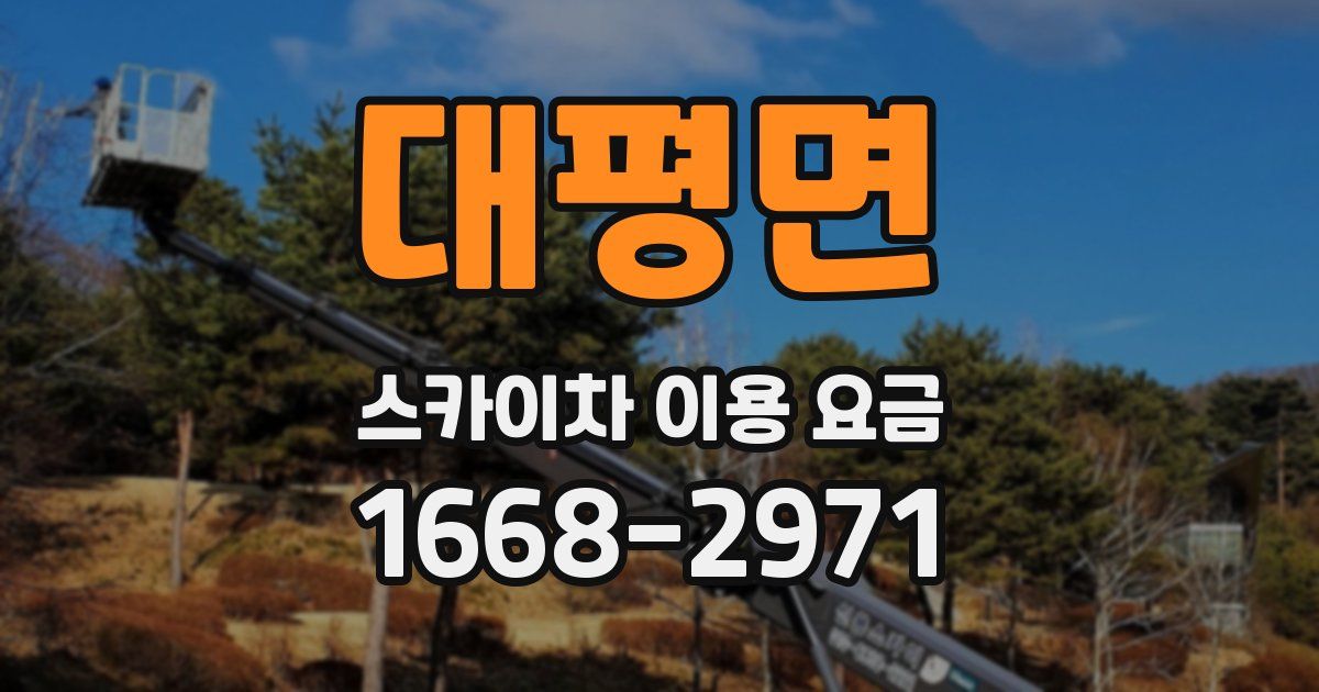 대평면 스카이차 이용 요금