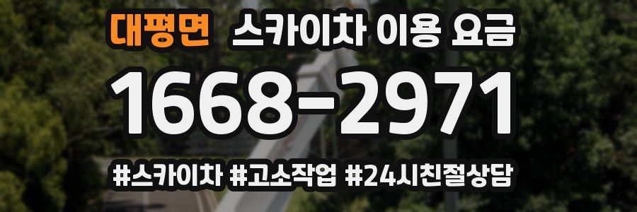대평면 스카이차 이용 요금