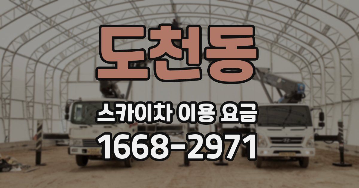 도천동 스카이차 이용 요금