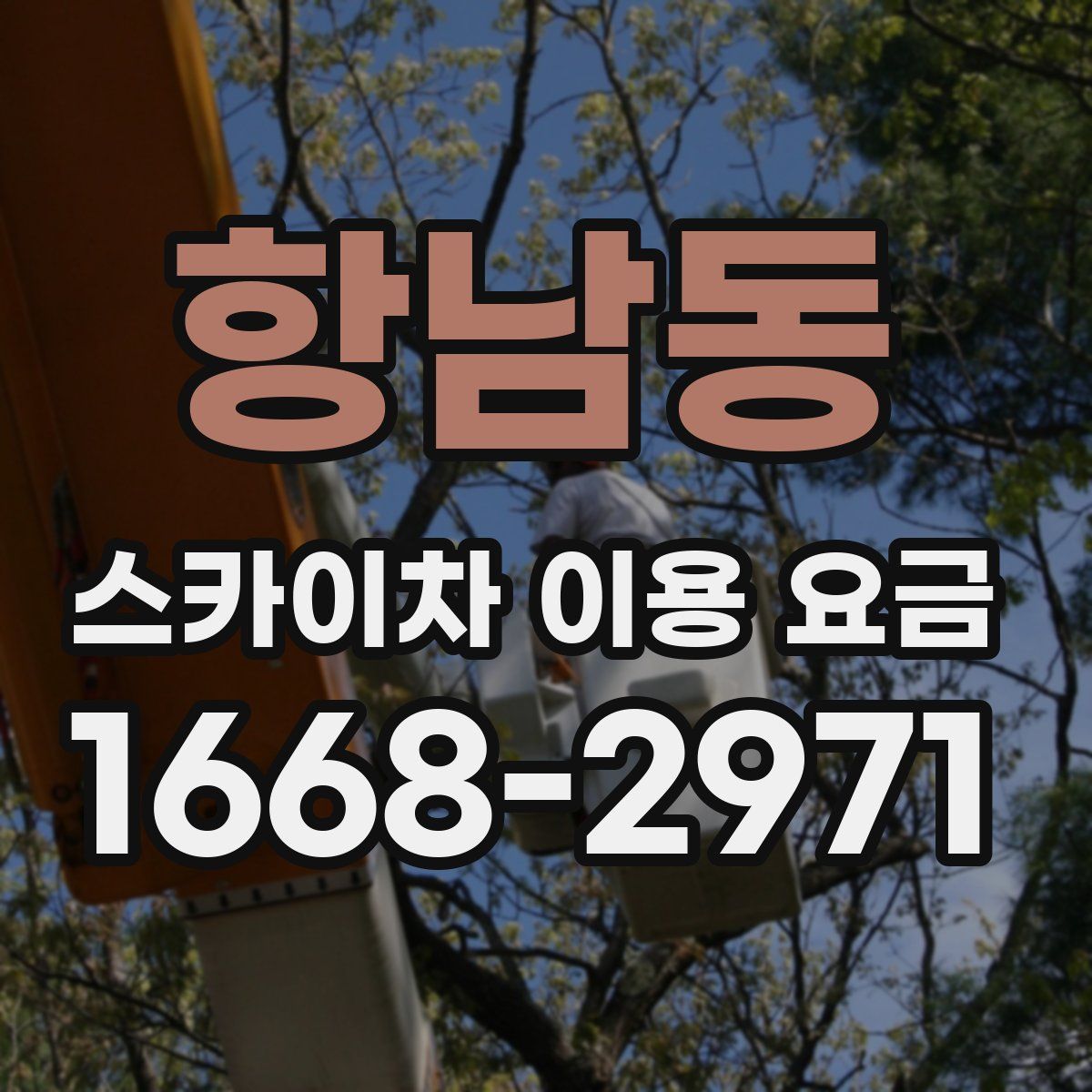 항남동 스카이차 이용 요금