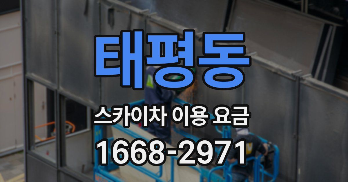 태평동 스카이차 이용 요금