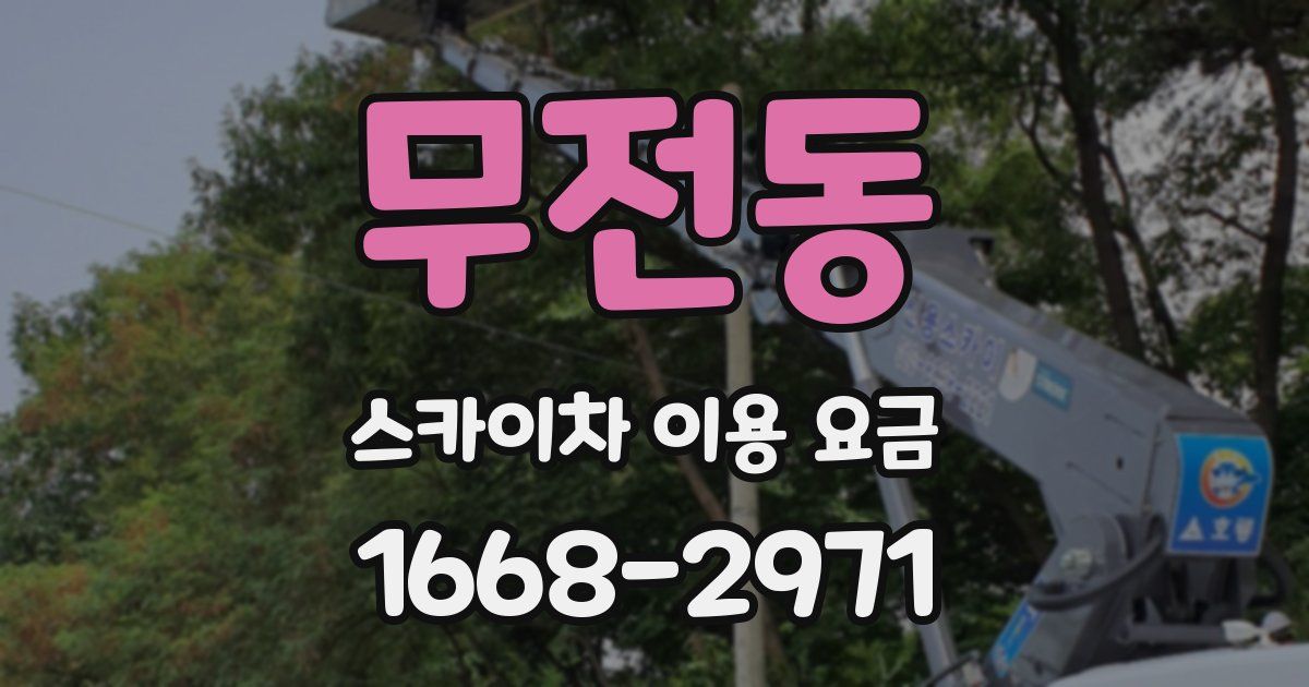 무전동 스카이차 이용 요금