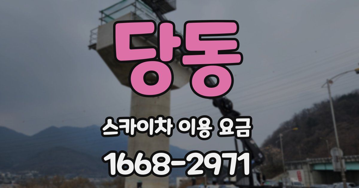 당동 스카이차 이용 요금