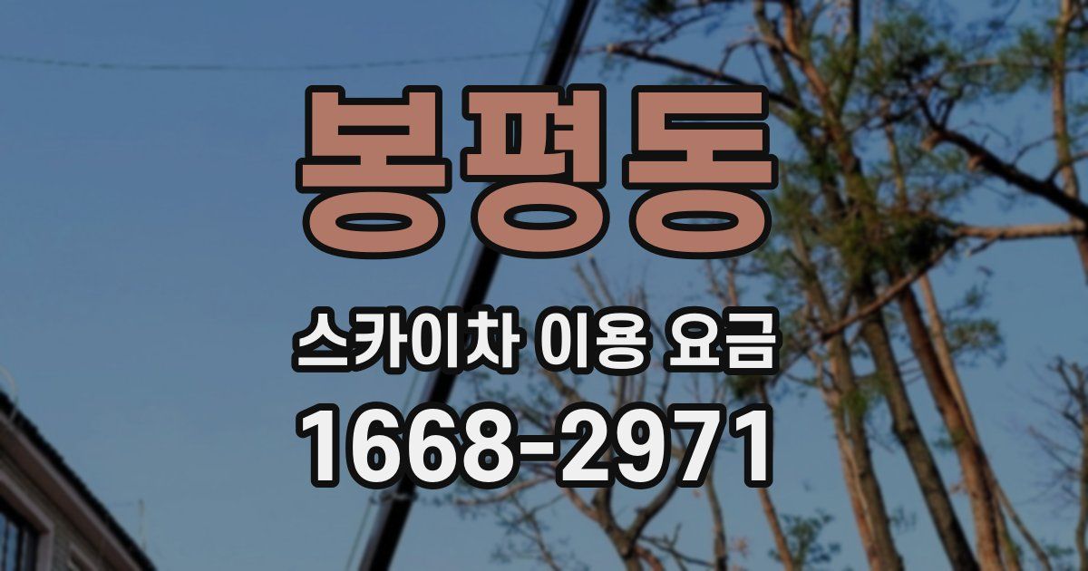 봉평동 스카이차 이용 요금