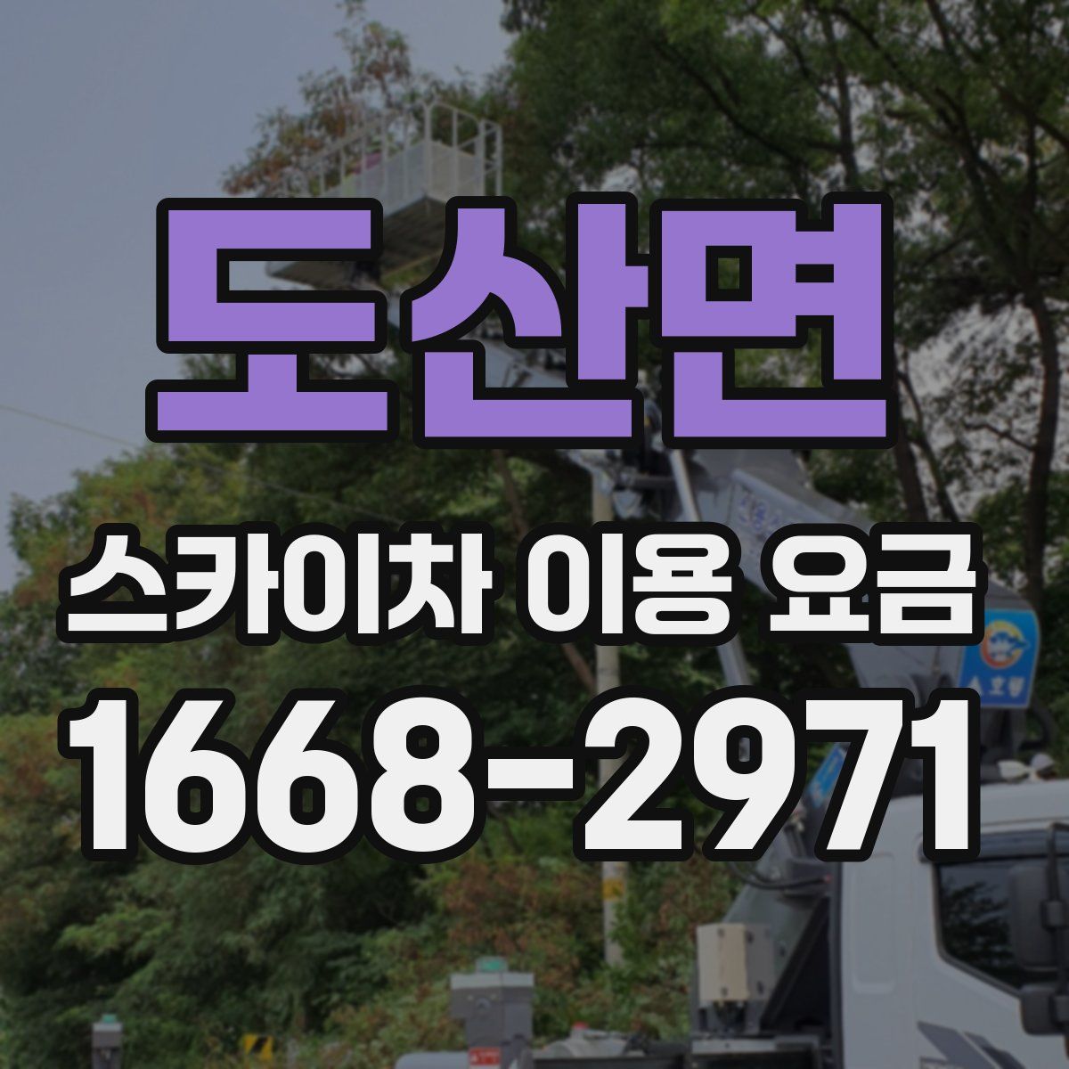 도산면 스카이차 이용 요금