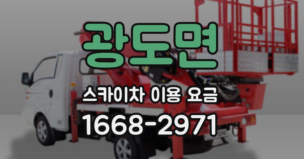 광도면 스카이차 이용 요금