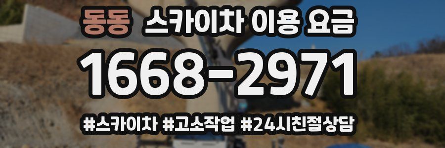 동동 스카이차 이용 요금