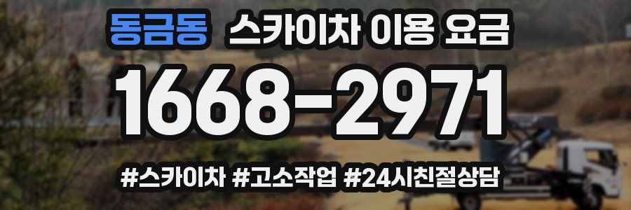 동금동 스카이차 이용 요금