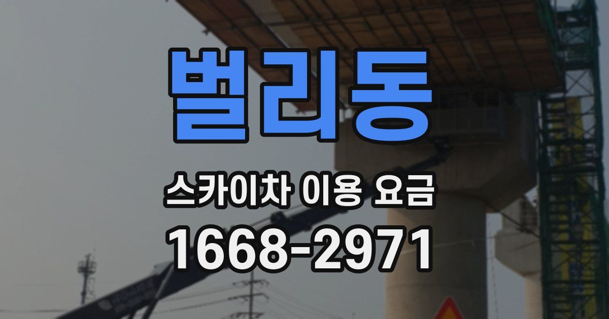 벌리동 스카이차 이용 요금