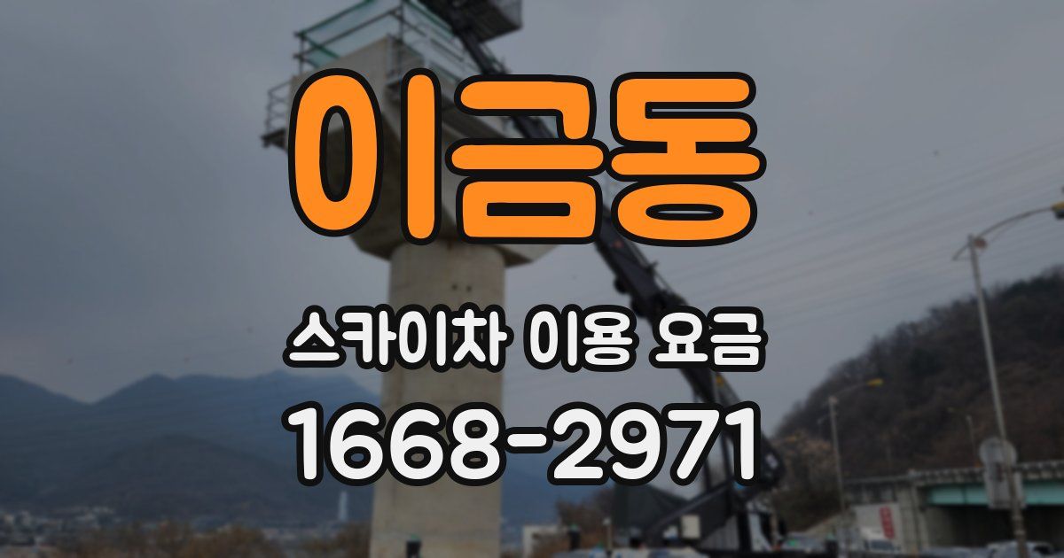 이금동 스카이차 이용 요금
