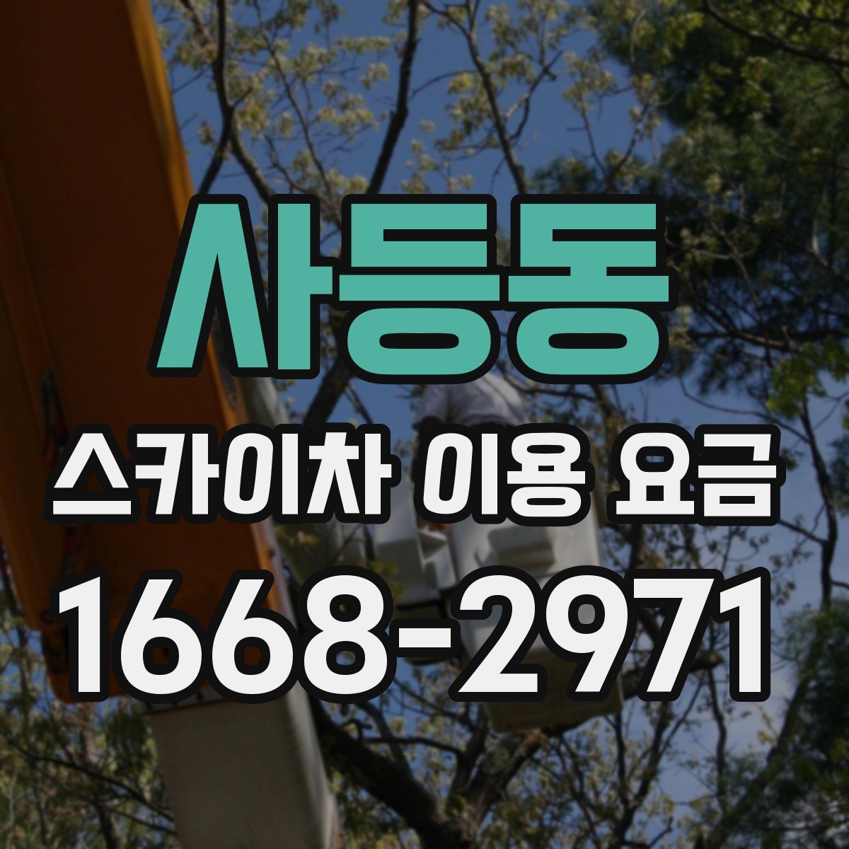 사등동 스카이차 이용 요금