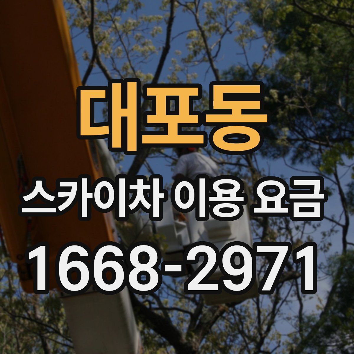 대포동 스카이차 이용 요금