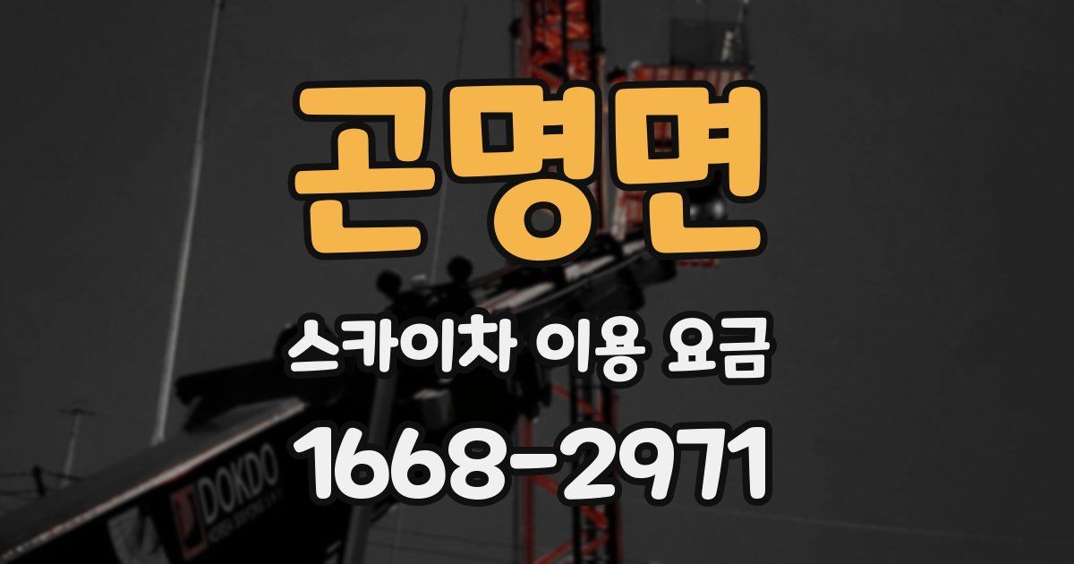 곤명면 스카이차 이용 요금