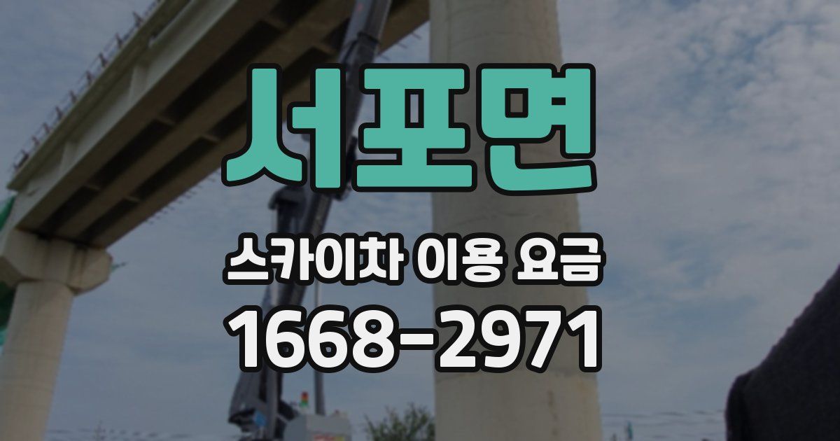 서포면 스카이차 이용 요금