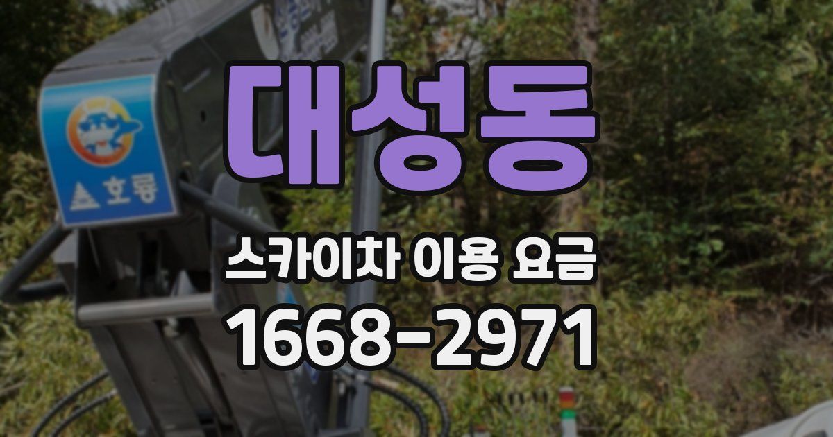 대성동 스카이차 이용 요금
