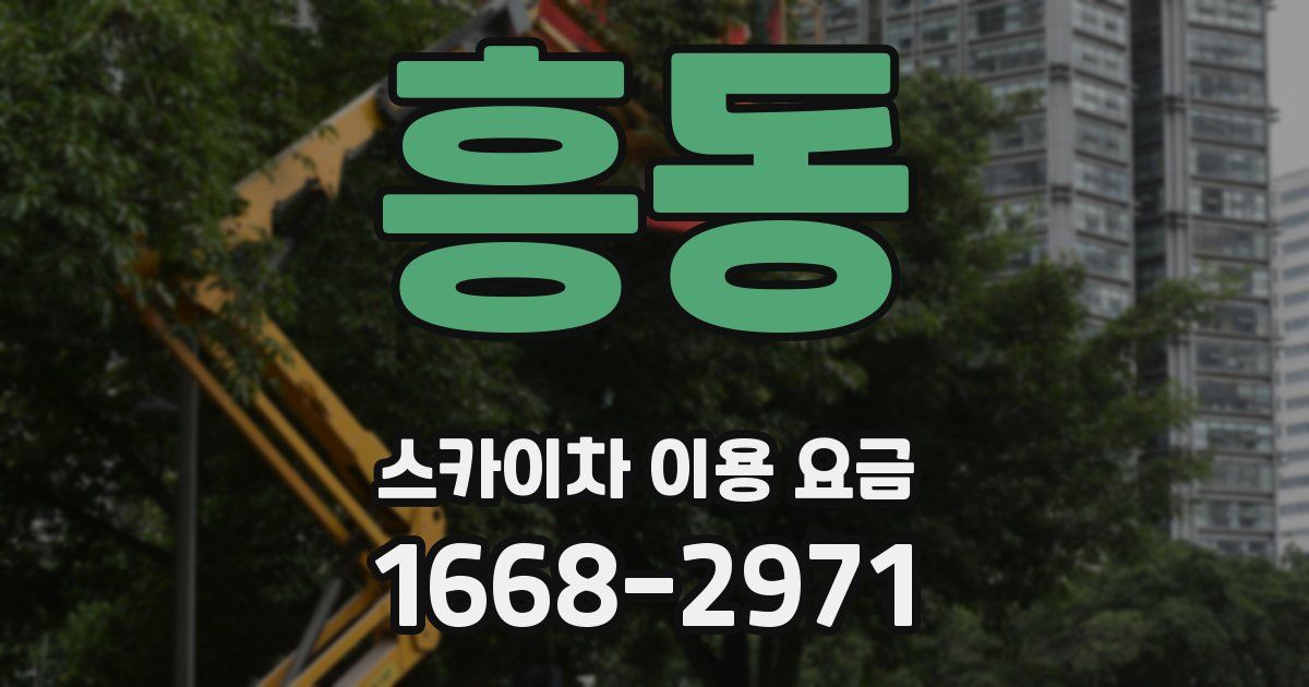 흥동 스카이차 이용 요금