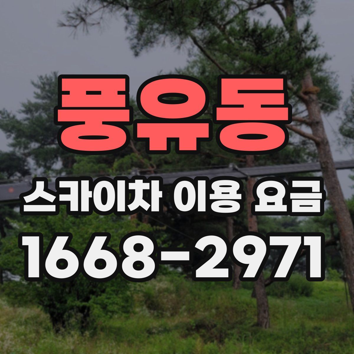 풍유동 스카이차 이용 요금