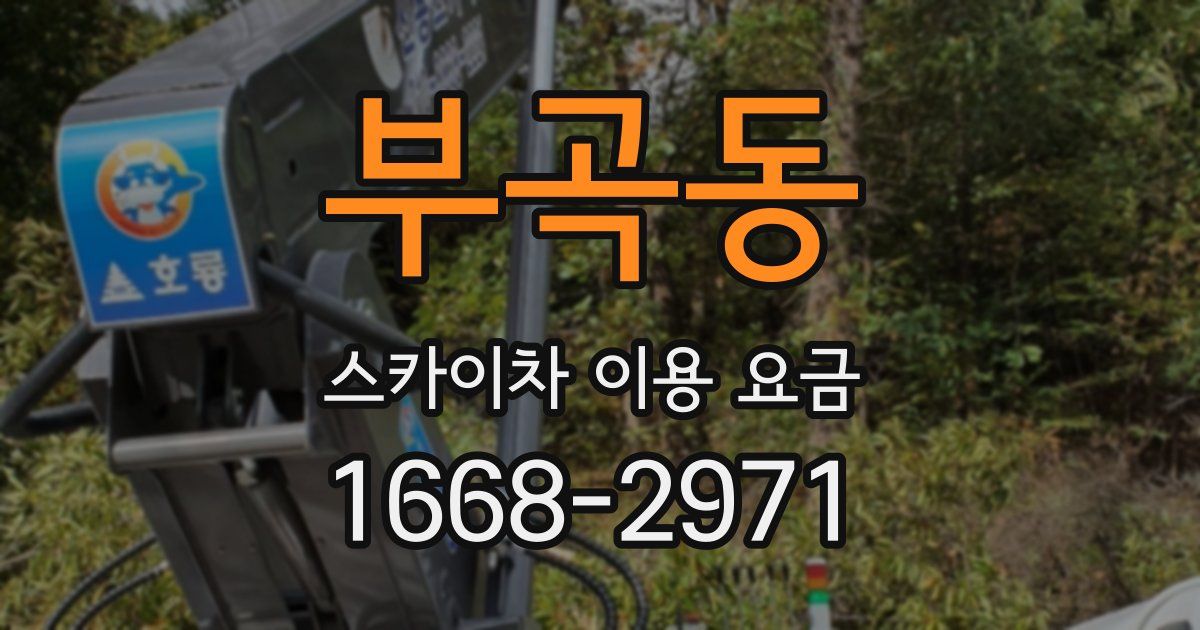 부곡동 스카이차 이용 요금