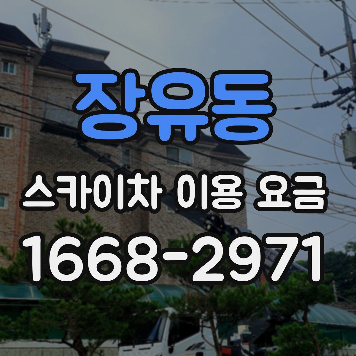 장유동 스카이차 이용 요금 확인 후 선택할 때 살펴볼 부분